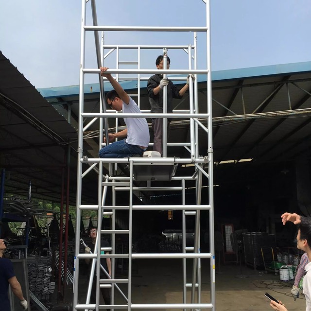 Double Ladder Scaffold 5M
